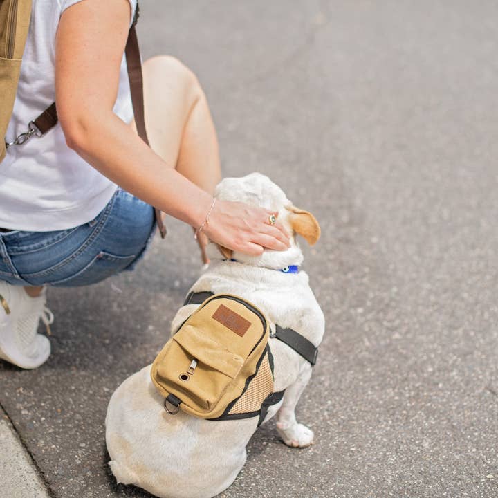 BoxDog - Venta al por mayor Bolsa para chuches - Perros - Juego de mochila para perro, mochila humana y bolsa de golosinas