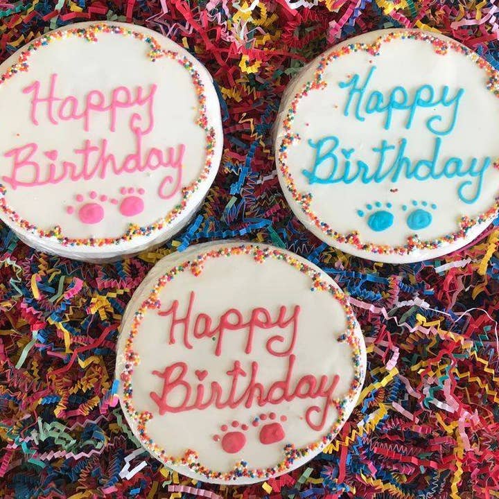 Bakery Dog - Wholesale Pet treats – Dog - Birthday Dog Cookie Cake1