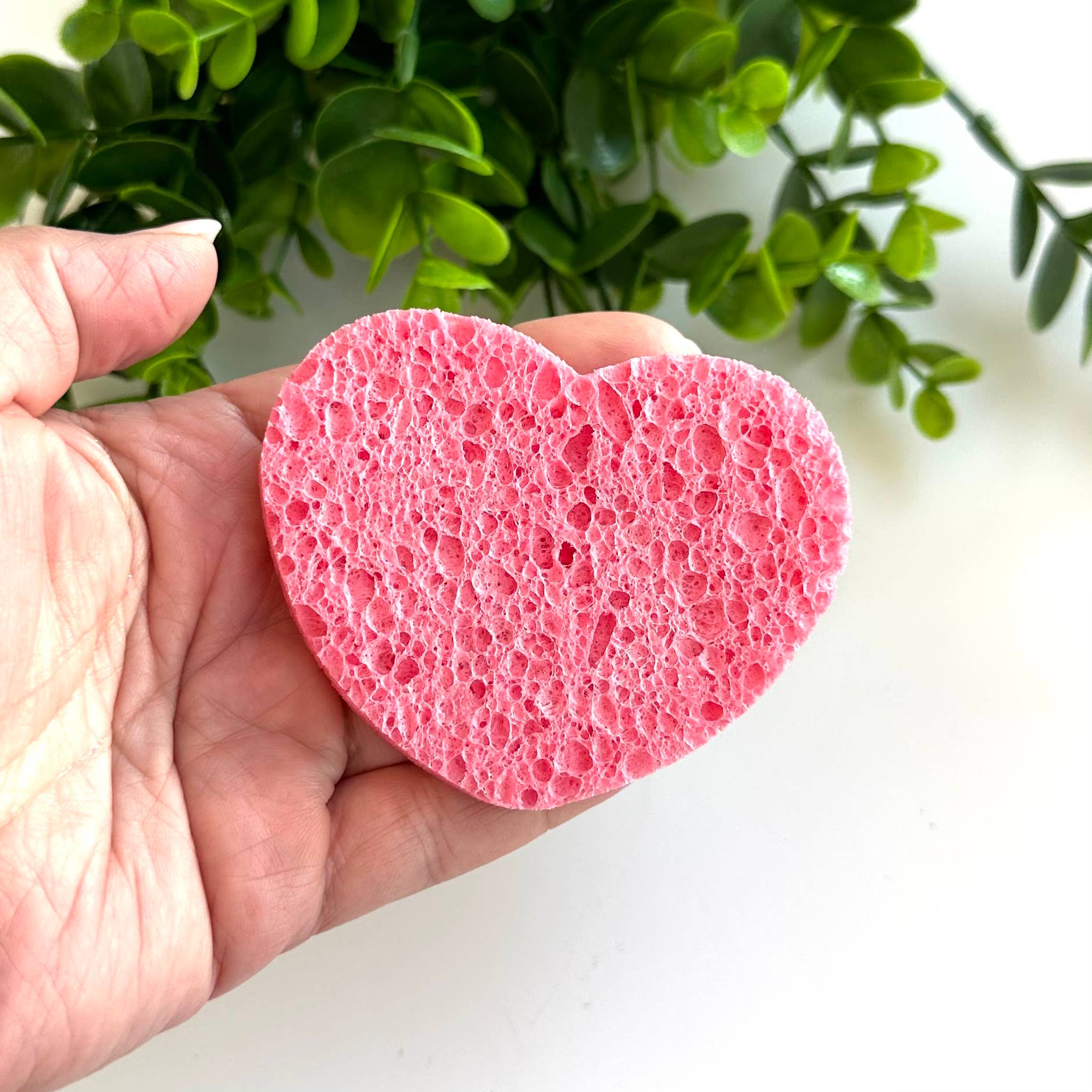 GreenWave – Limpador facial por atacado – Esponjas de limpeza esfoliantes faciais comprimidas de celulose0