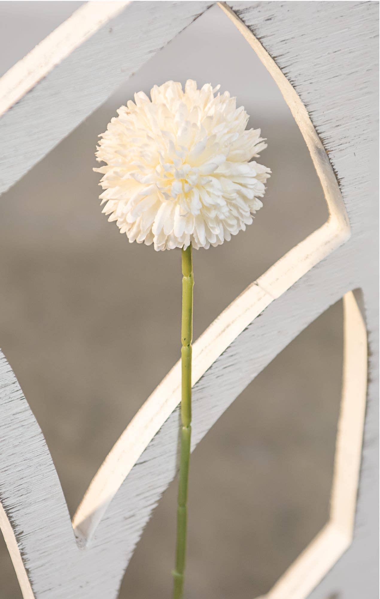Col House Designs - Wholesale Artificial Flowers - Pompom Stem, White1