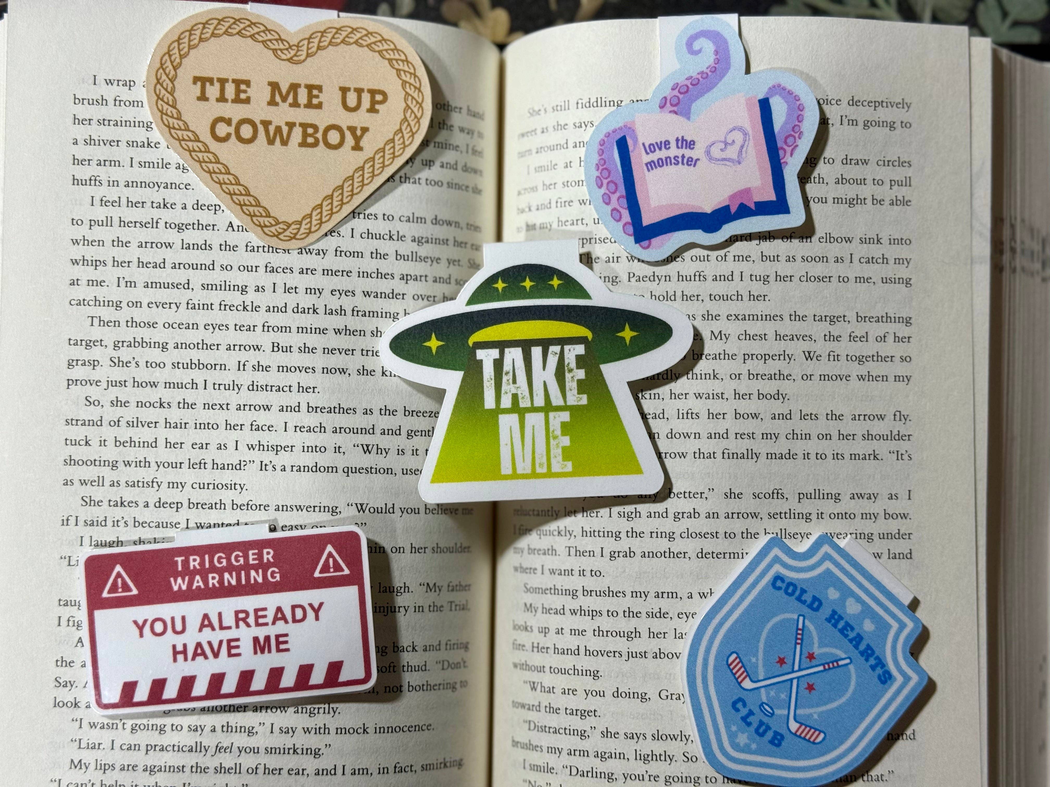 Brinnvill Books - Wholesale Bookmark - Tie me up cowboy magnetic bookmark1