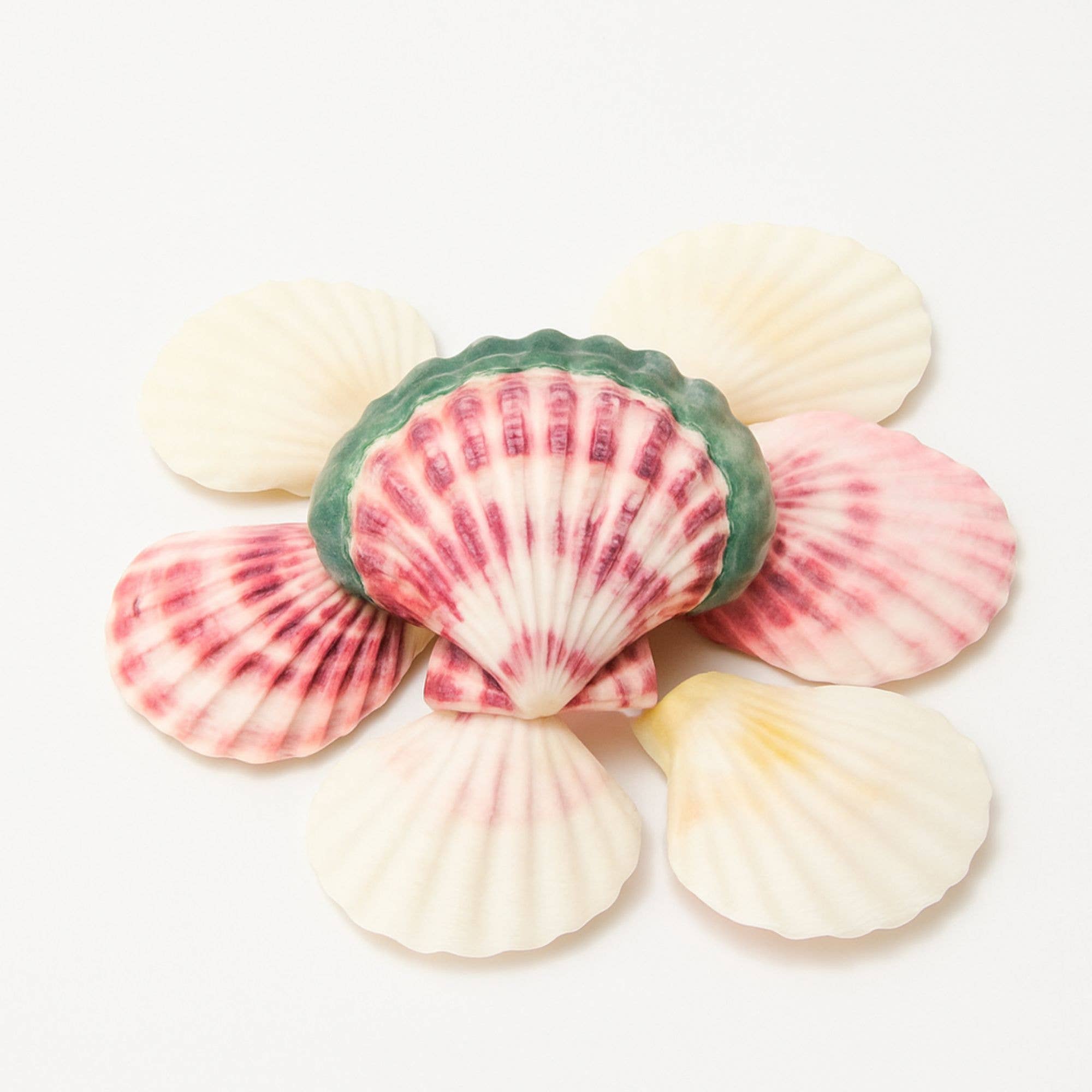 GLifee – Engroshandel Håndværk forsyninger – Kammuslingeskaller til Håndværk, Dekoration, Gave Engros2