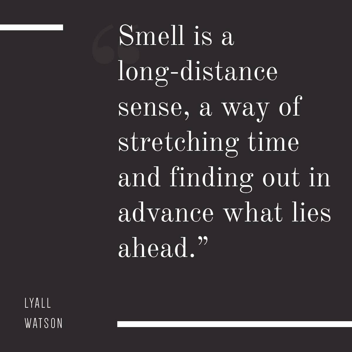 Burn Candle Company - Wholesale Travel Candles - Leather & Merlot | Dual Wick | 8 oz Black Tin3