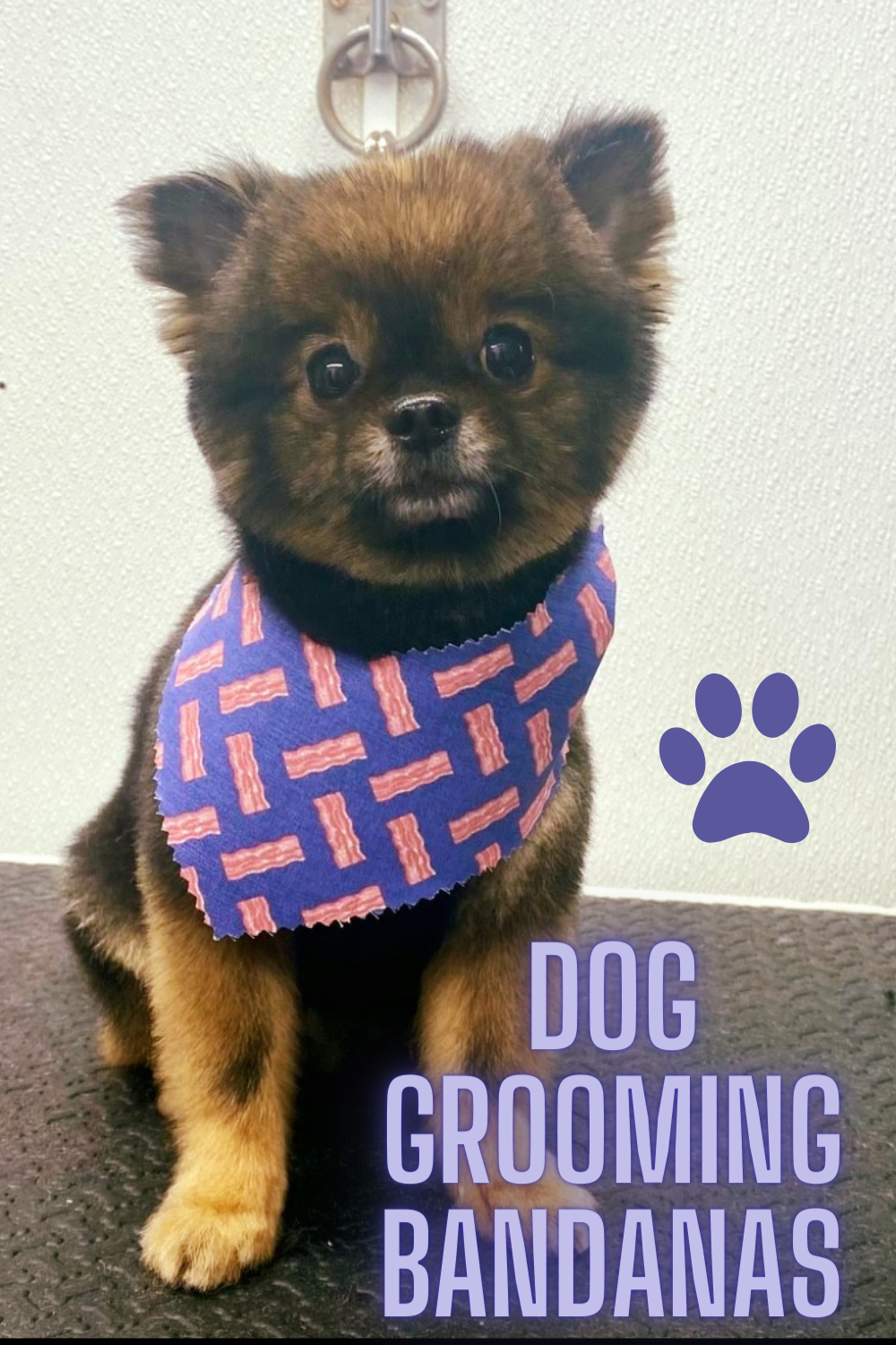 Happy Tails Outfitters – wholesale Bandana - Hund – Hundfrisörsscarfar i bandanastil4