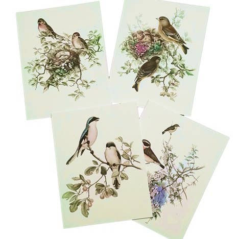 "Gould's Birds" Recycled Greeting Cards | Handcrafted for wholesale by Superior Dry Goods