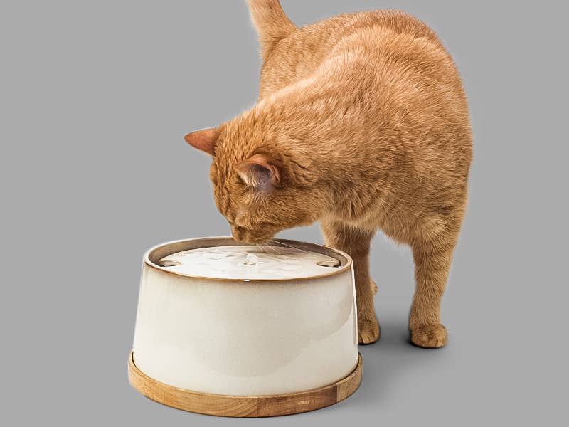 ne&no – Großhandel Futternapf – Katze/Hund – ne&no® Keramik Trinkbrunnen + Bambus-Basis I Induktion11