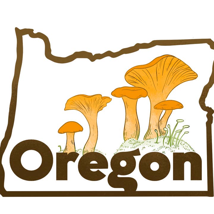 Underbrush Art - Wholesale Sticker - Oregon Chanterelle Sticker 2