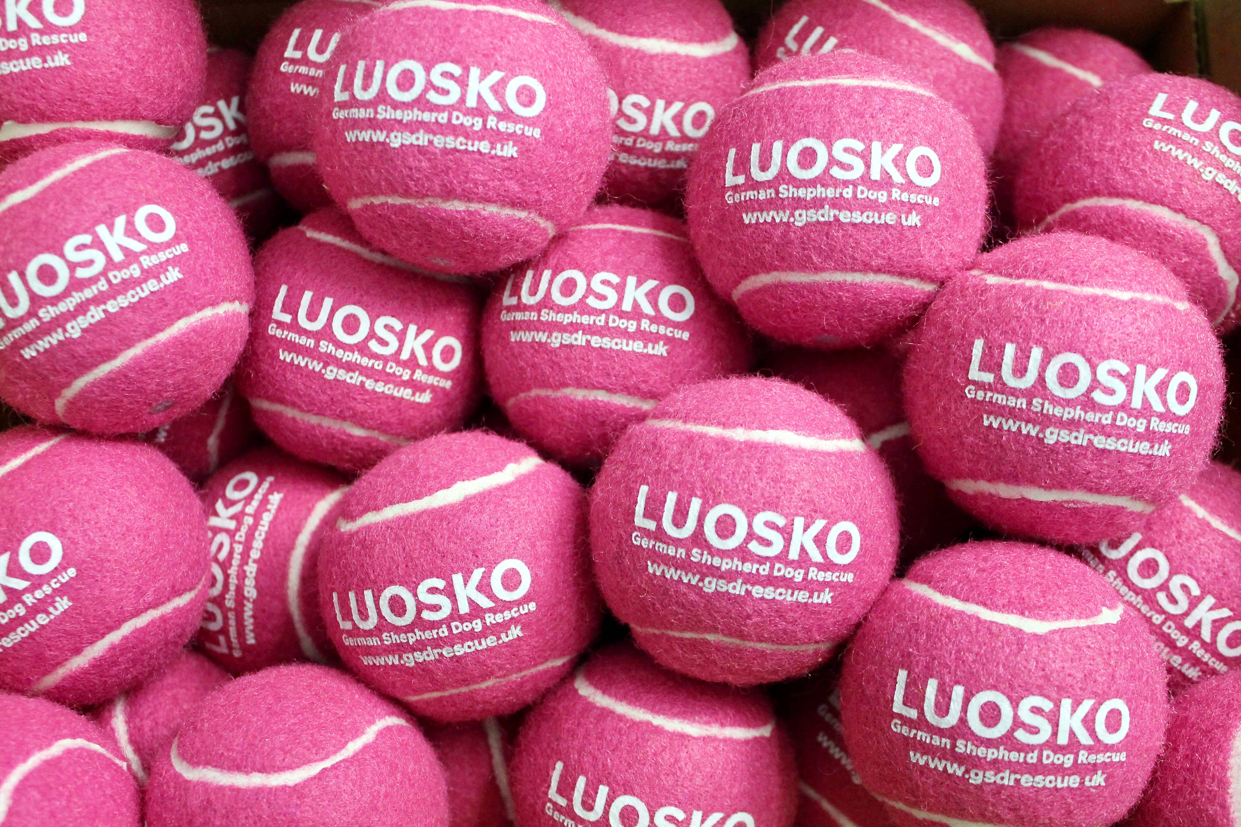 DANKA - Vendita all'ingrosso Palla sportiva - Palline da tennis personalizzate all'ingrosso, etichetta privata8