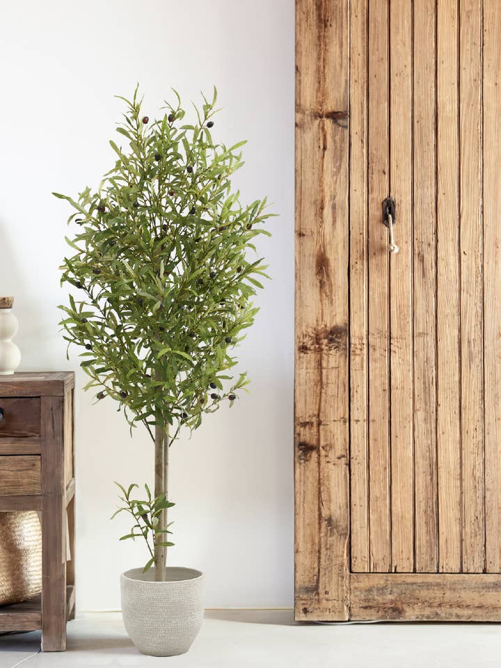 Olivier artificiel de 5' pour la vente par Maia Shop