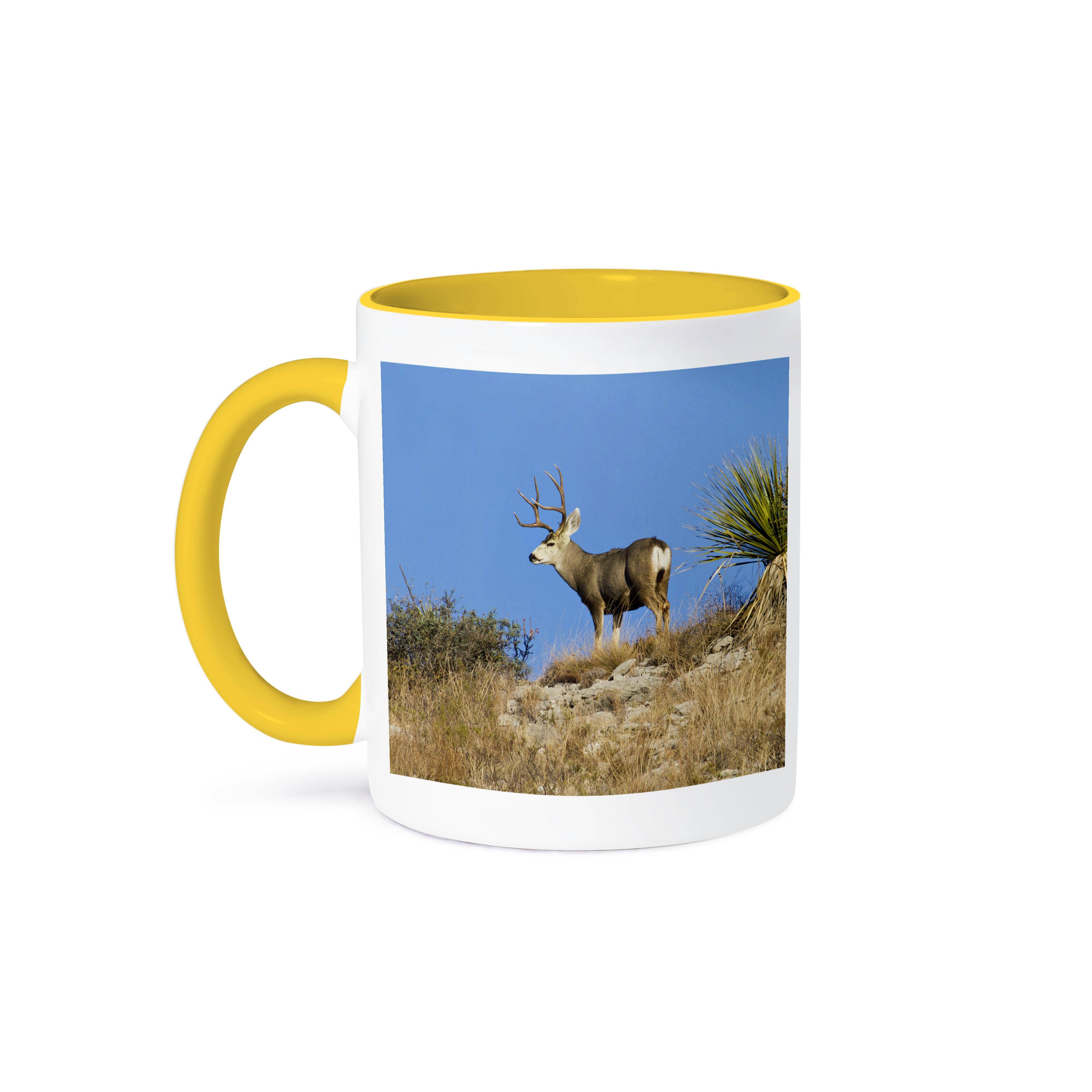 3dRose - Wholesale Coffee Mug - 3dRose, Desert Mule Deer buck in desert mountain habitat - US44 LDI0997 - Larry Ditto, Mug0