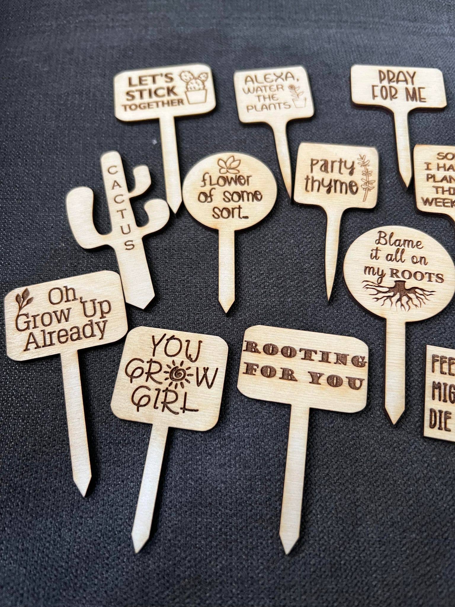 The Cracked Pig - Wholesale Garden/Lawn Stake - 20 Options for Snarky Birch Plant Stakes3