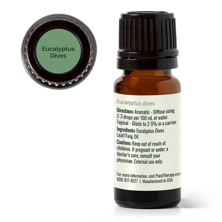 Plant Therapy - Wholesale Essential Oil - Eucalyptus Dives Essential Oil 10 mL4