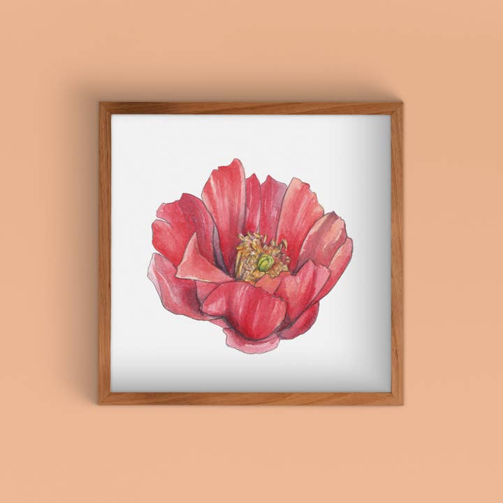 Staghorn Cholla Red I Aquarell-Kunstdruck für den Großhandel von Cacti Oasis©