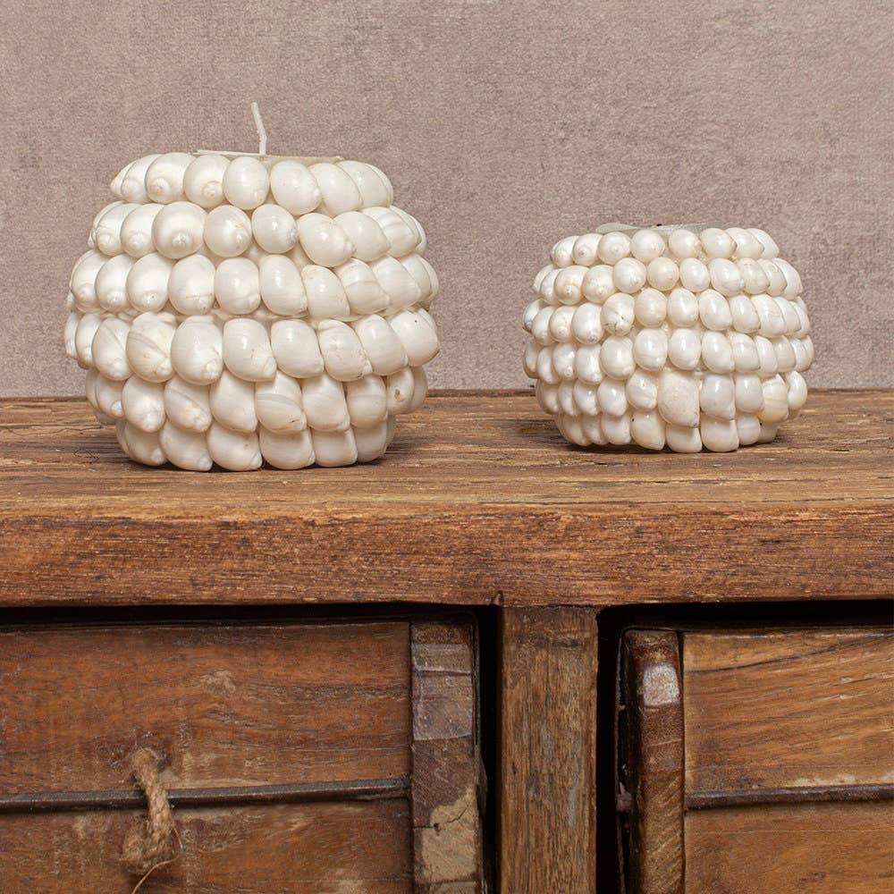 EARTHWARE - Wholesale Candle Holder - Shell tealight holder Ayu M2
