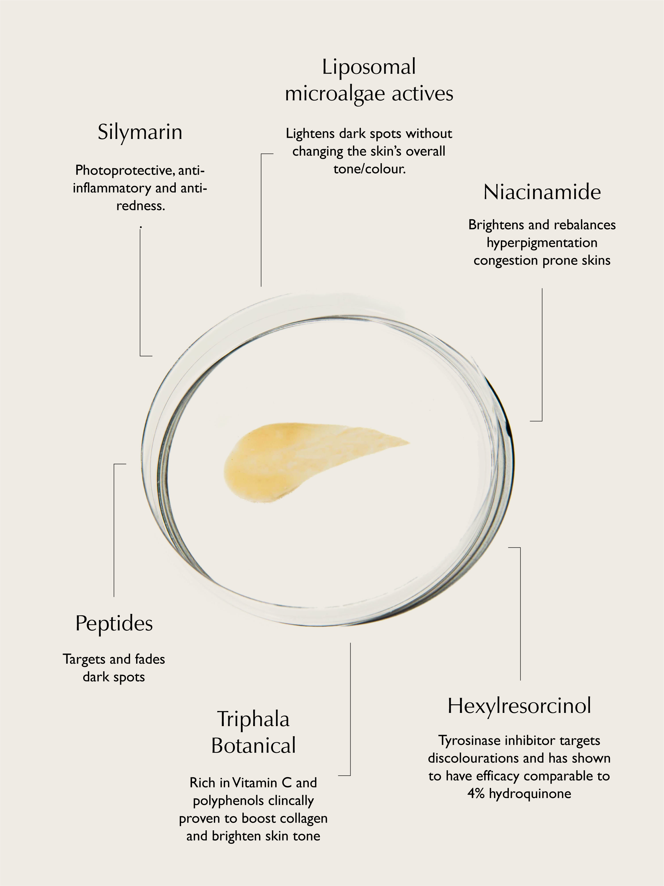 Sachi Skin – Engroshandel Ansigtsserum – Triphala Pigmenteringskorrektor - 30ml7