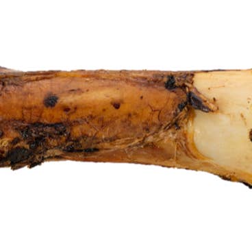 Butcher's Prime BAM BAM FULL FRONT SHANK BEEF BONE for wholesale by Blue's Colorado