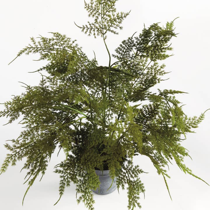 Green Plumosa Fern Drop-In 17" for wholesale on Faire1