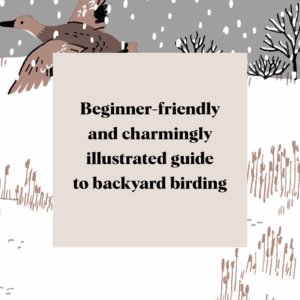 Chronicle Books - Wholesale Nature & Outdoors Book - Pocket Nature: Bird-Watching9