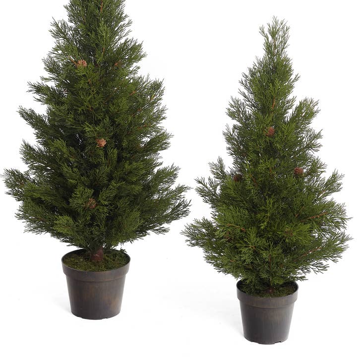 Studio Specialties - Wholesale Artificial Plant - CYPRESS W/POT 8" DX33.5"H0