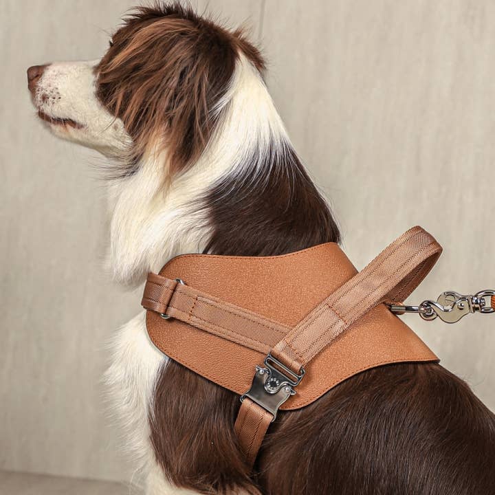 Saddle Harness - Camel for wholesale by Hozi