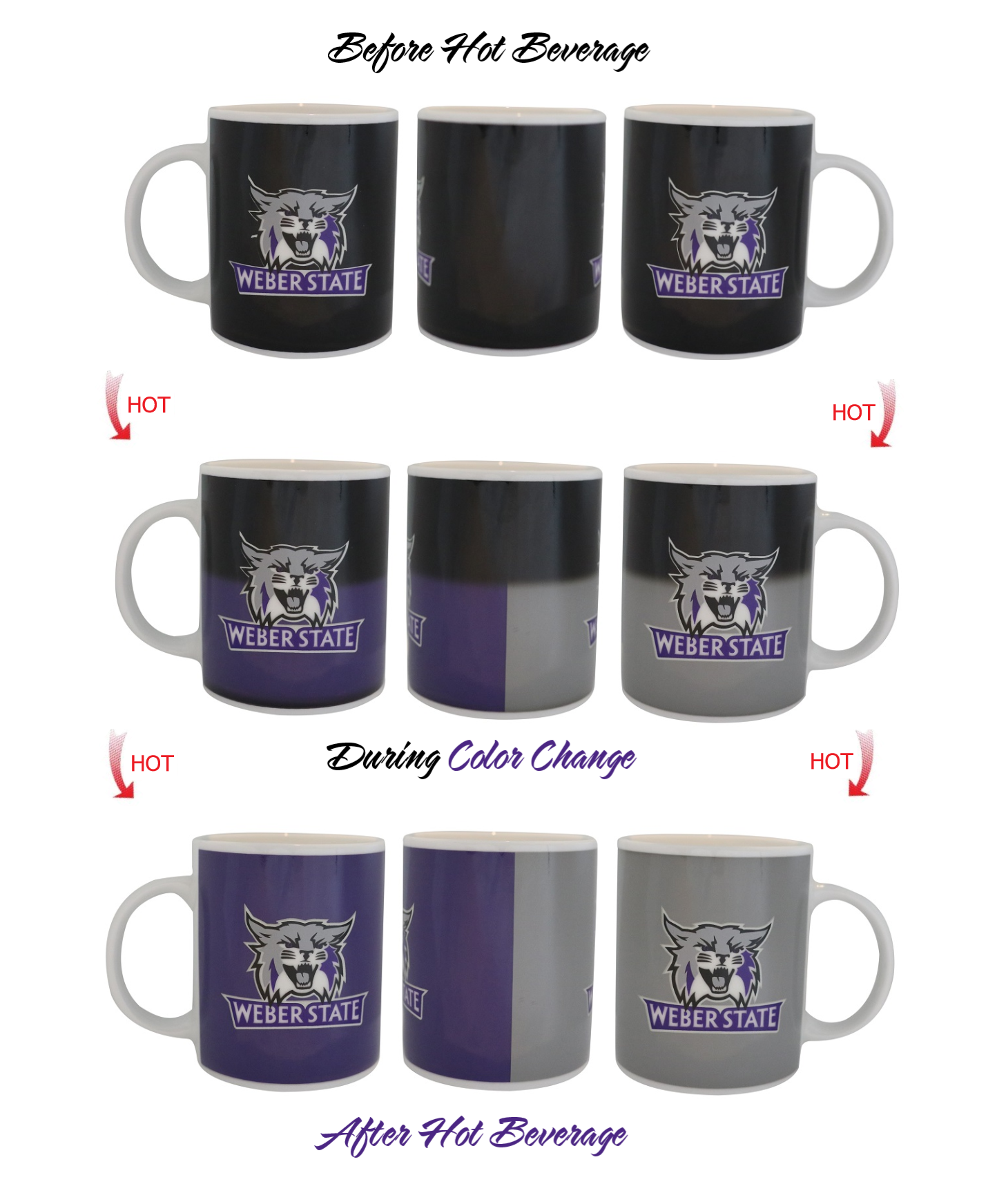 Sunkiss – wholesale Coffee mug – Weber State University Color Changing Coffee Mug5
