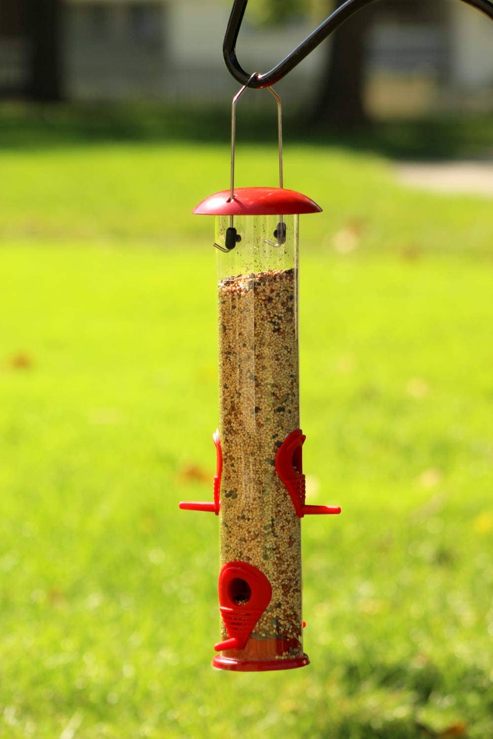 Ashman Online - Wholesale Bird Feeder - Ashman Bird Feeder, Metal Top and Bottom, Spacious Design, Attractive & Long Lasting12