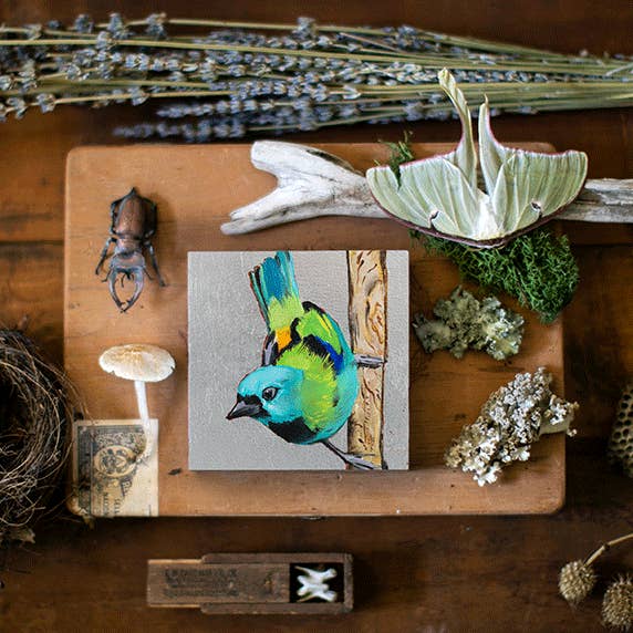 Green-headed Tanager for wholesale by Joseph Bradley Studio