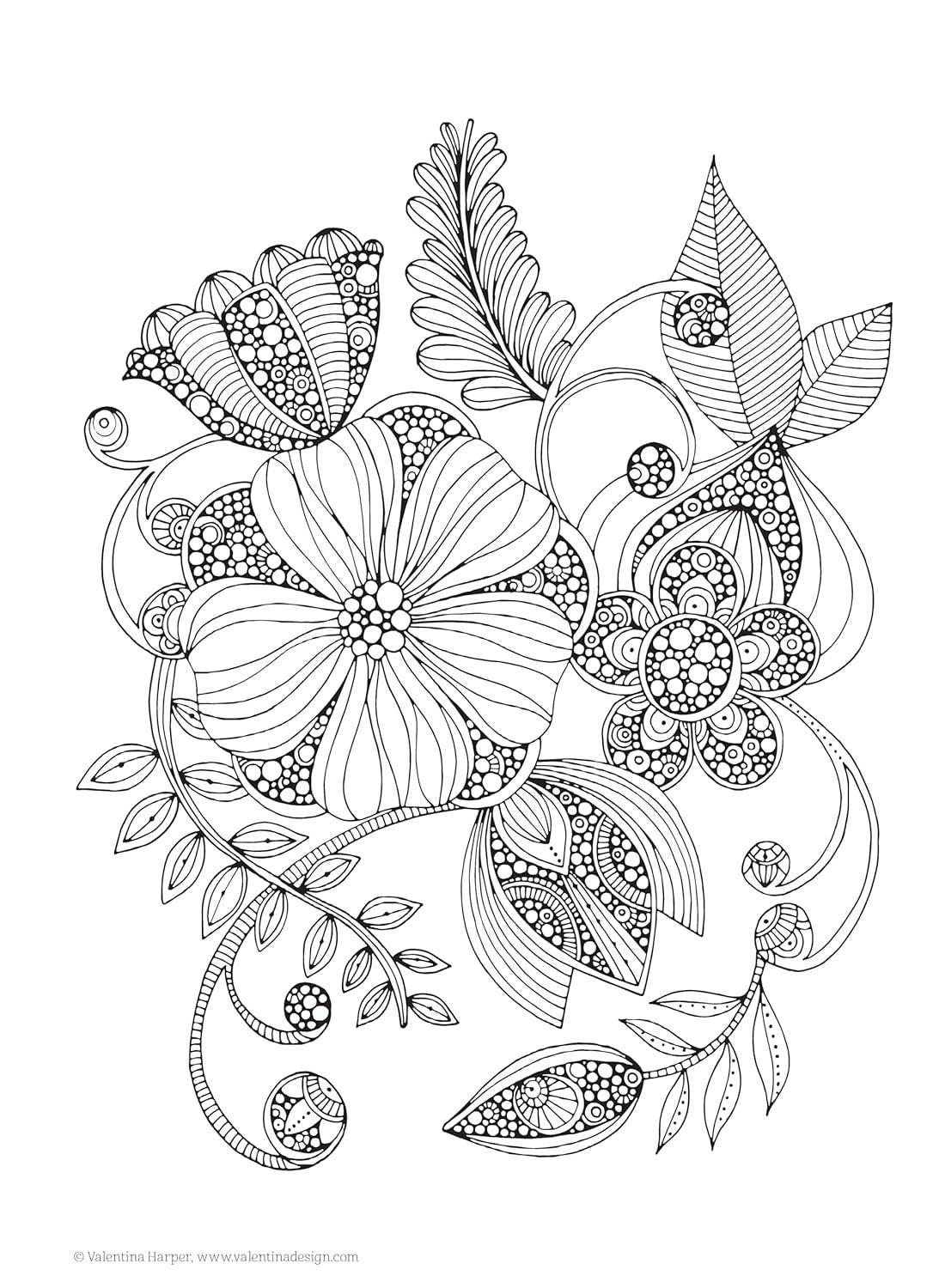 Fox Chapel Publishing - Wholesale Kleurboek - Volwassene - Mandala's en meer kleurboek Treasury (HC)2