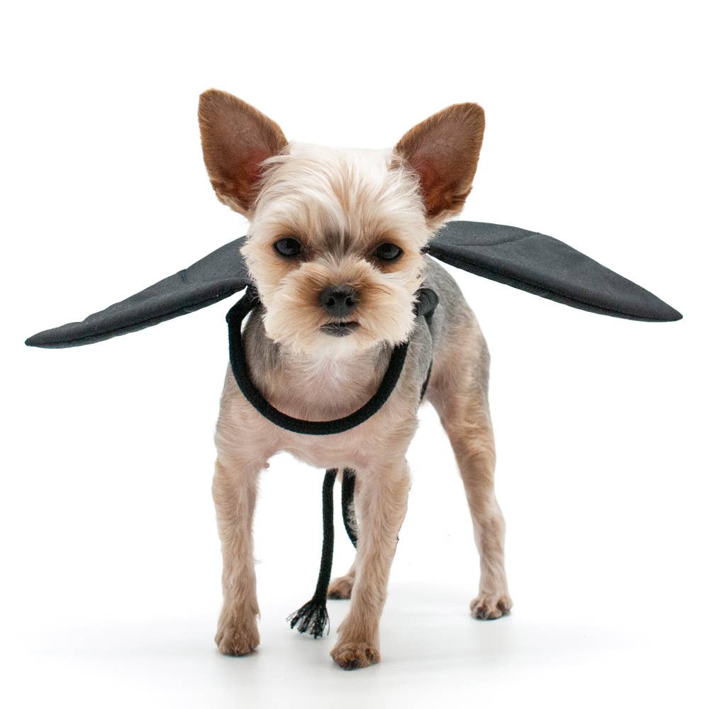Dogo Pet - Wholesale Pet Costume - Dog - Bat Wings1