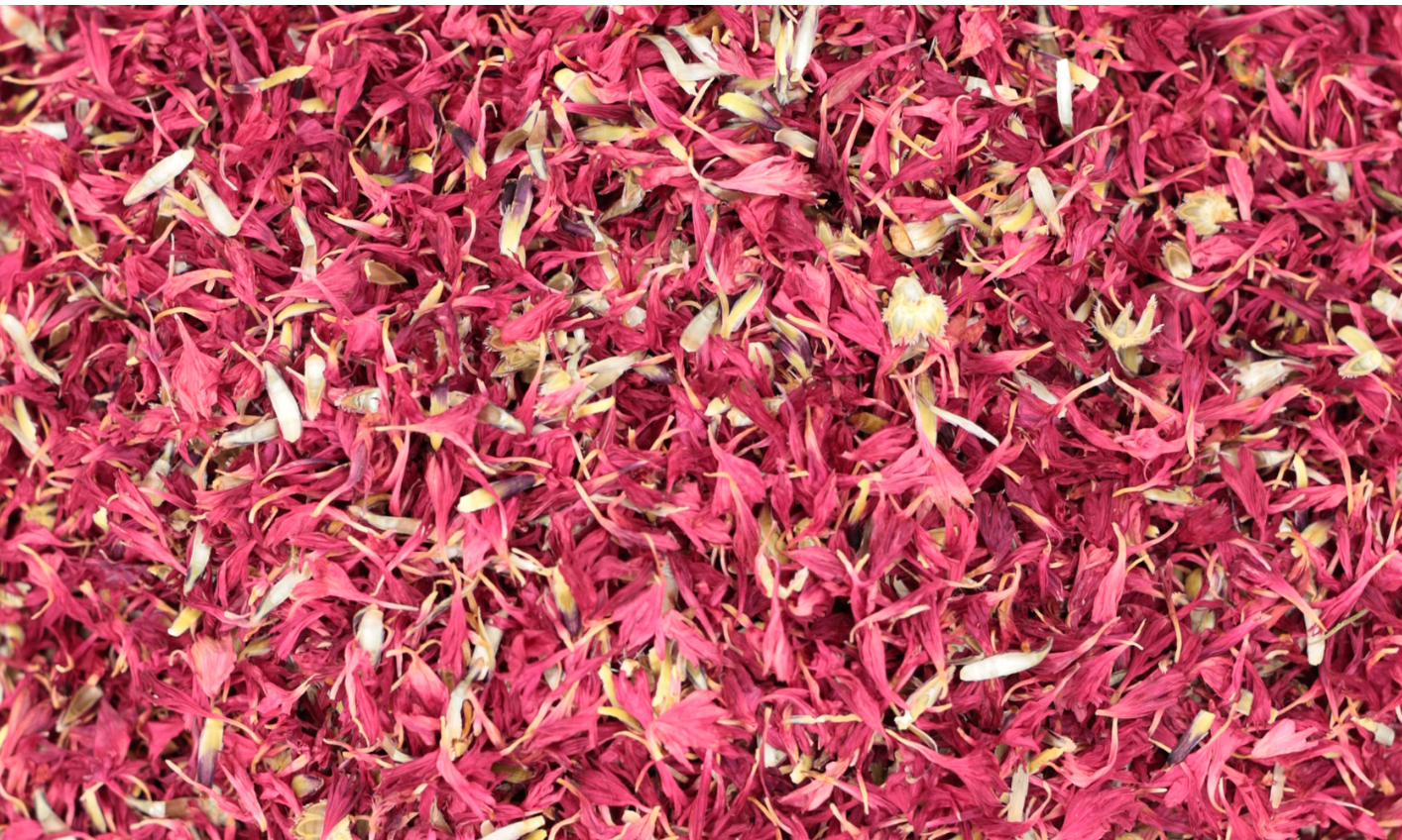 EXTRADRY - Wholesale Cocktailmix/siroop - EXTRADRY - Rode korenbloembladeren 20 g1