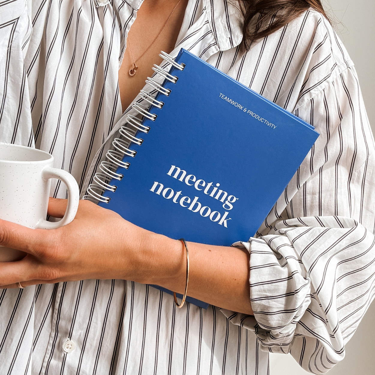 Lamare - Wholesale Notebook - Lamare Meeting Notebook – Project Planner & Work Organizer12