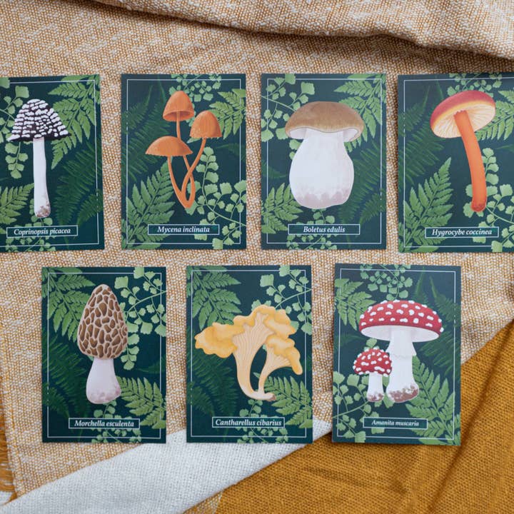 Ensemble de 7 cartes postales champignons pour la vente par MellowApricotStudio