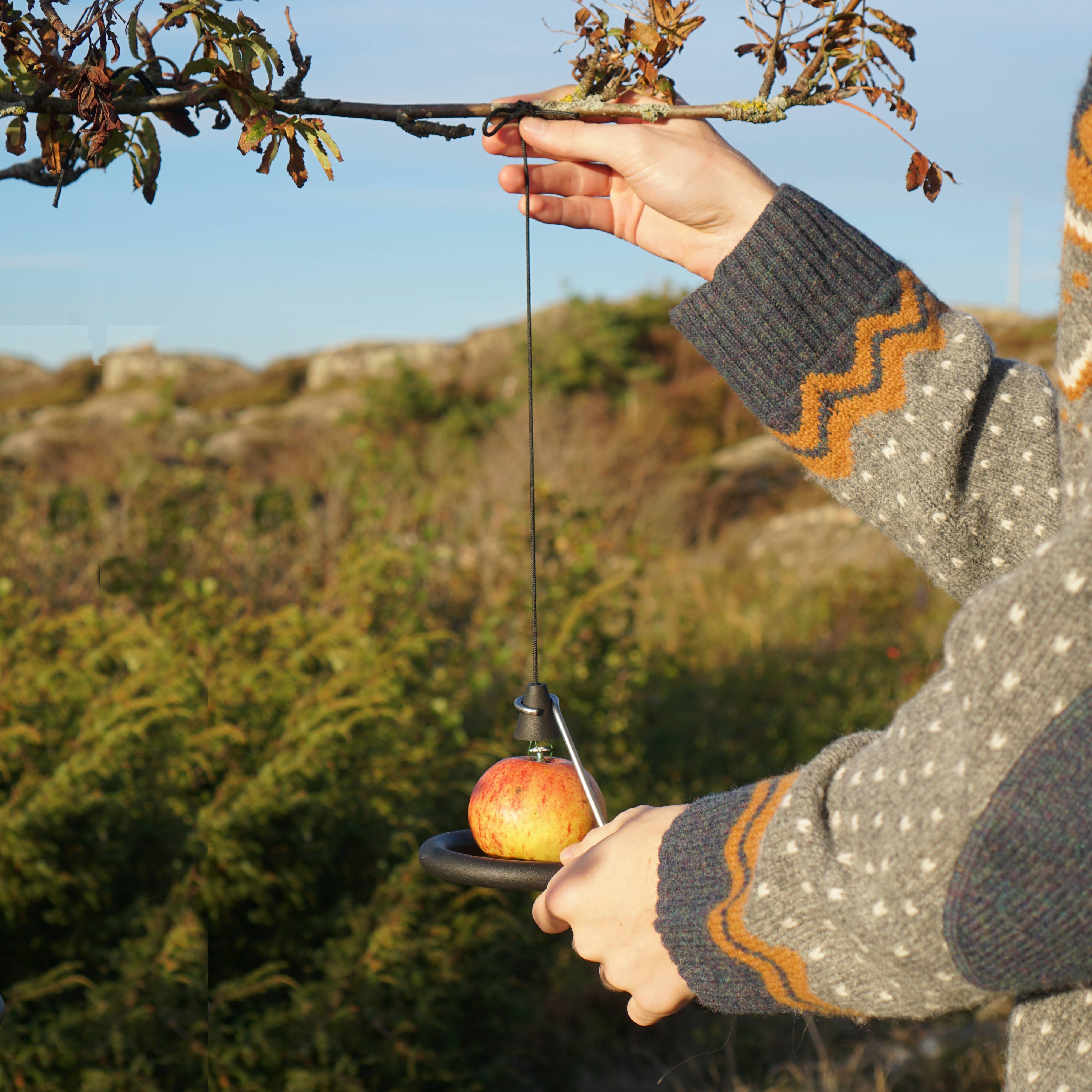 Born in Sweden AB - Vente Mangeoires pour oiseaux - Suspension pour boules de graisse en forme de satellite5