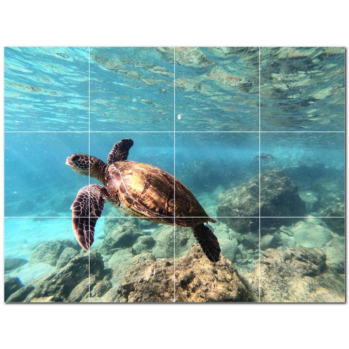 Sea Turtle Keramiska Kakelväggmålning PT501066 för wholesale av Picture-Tiles.com