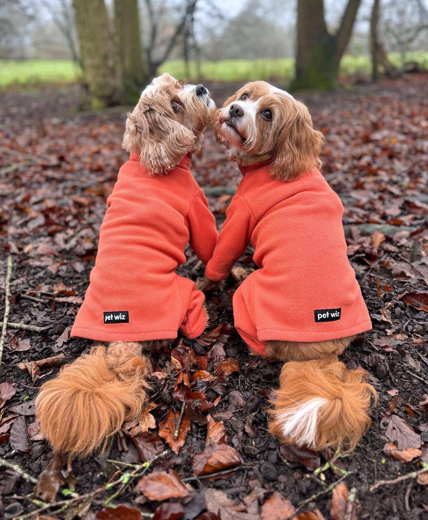 Pet Wiz - Vente Pull – chien - Pull polaire quatre pattes pour chien - Large choix de tailles et couleurs7