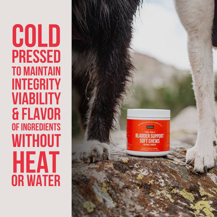 Natural Rapport - Wholesale Pet supplement – Dog - The Only Bladder Support Soft Chews Dogs Need2
