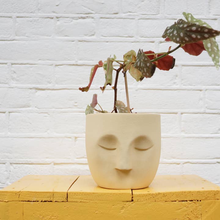 Patty Pot - Jaune pour la vente par Plant Potheads