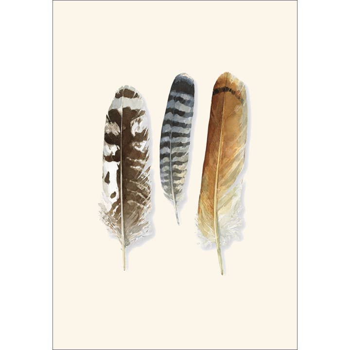 Earth Sky + Water - Wholesale Stationery/Notecard Set - Raptor Feathers Notecards1