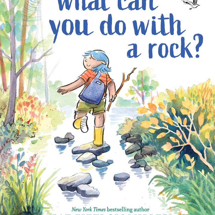 Sourcebooks - Wholesale Preschool Book (3-5) - What Can You Do with a Rock? (NYT bestselling author) (HC)