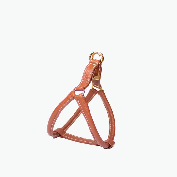 Agnes Hundegeschirr — Braun, Medium für den Großhandel von Clementine est dogs