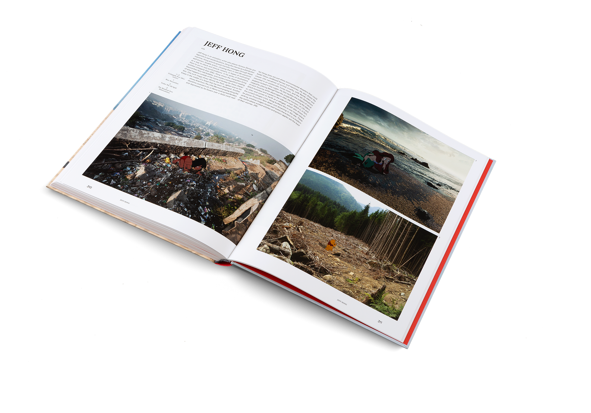 gestalten - Wholesale Politics & Current Events Book - The Art of Protest - Political Art and Activism11