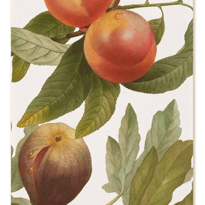 Toalhas de Cozinha «Amor Frutado», 100% Fabricado em Itália por atacado de The Napking