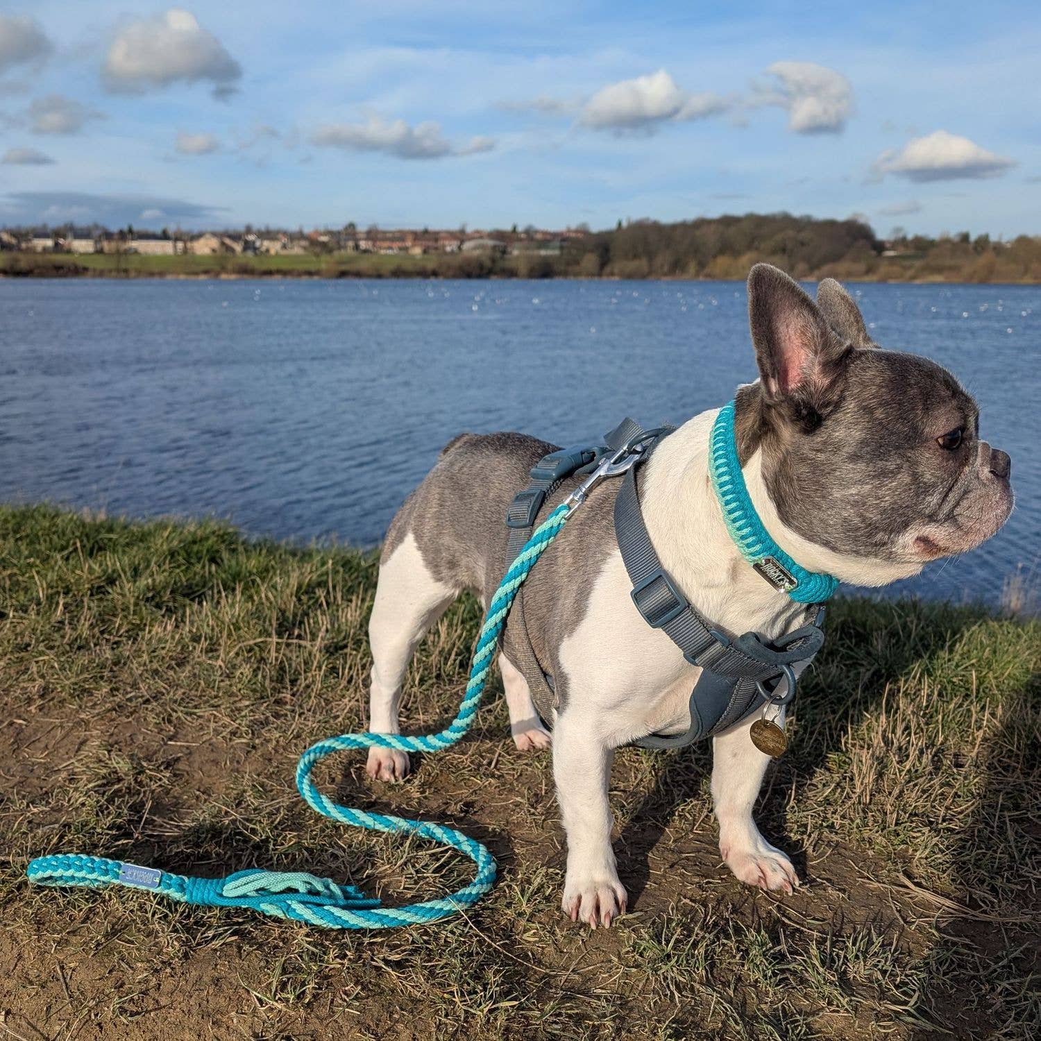 Rocky's Pet Products – wholesale DIY craft kit – Make Your Own Dog Lead Craft Kit Mint8