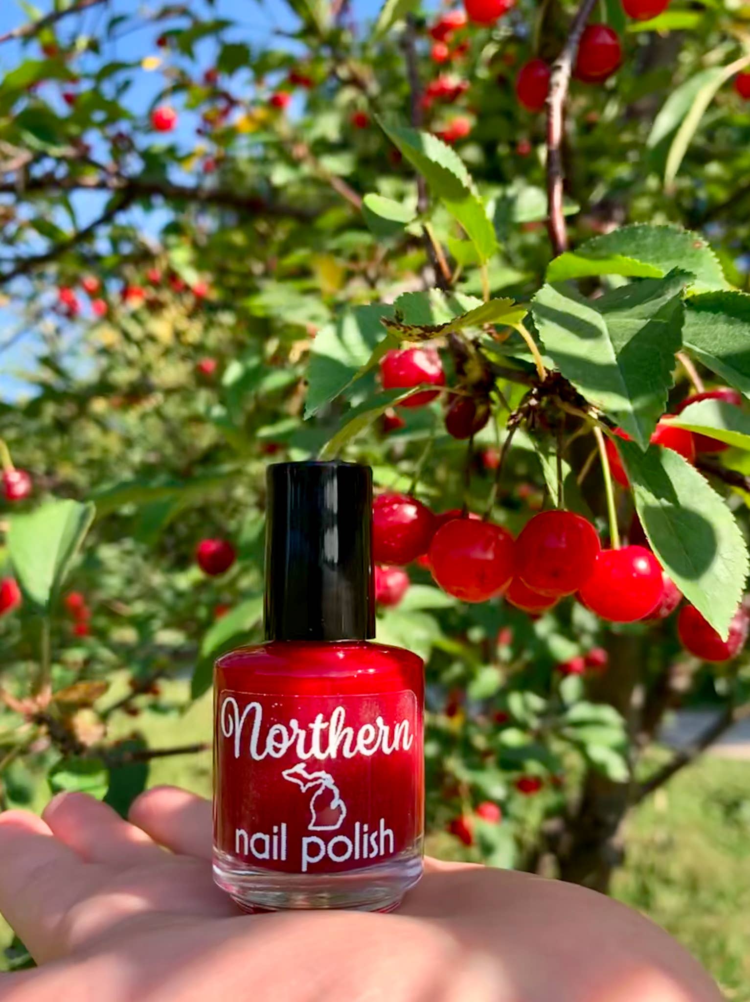 Northern Nail Polish - Wholesale Nail Polish - Cherry Festival ~ Nail Polish Red Eco Friendly Vegan Tox-Free3