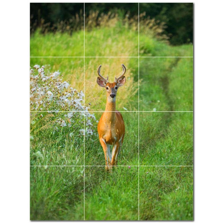 Carrelage en céramique Deer, carrelage mural en céramique PT500442 pour la vente par Picture-Tiles.com