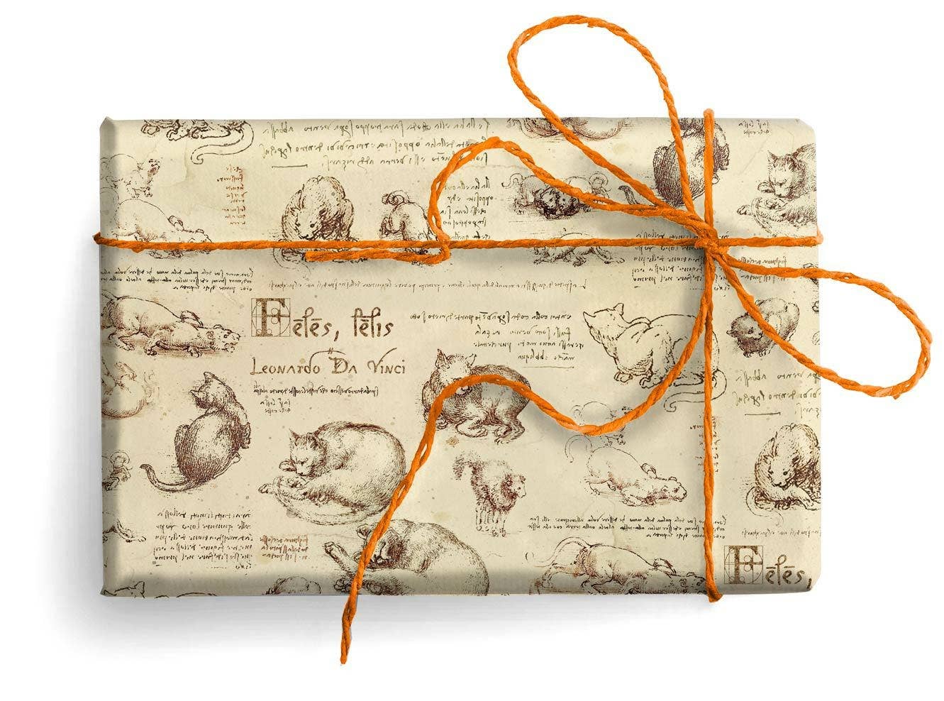 San Lorenzo Design - Vente Feuille de papier cadeau - Papier cadeau florentin, 2 feuilles pliées 19,7 x 27,6 po65