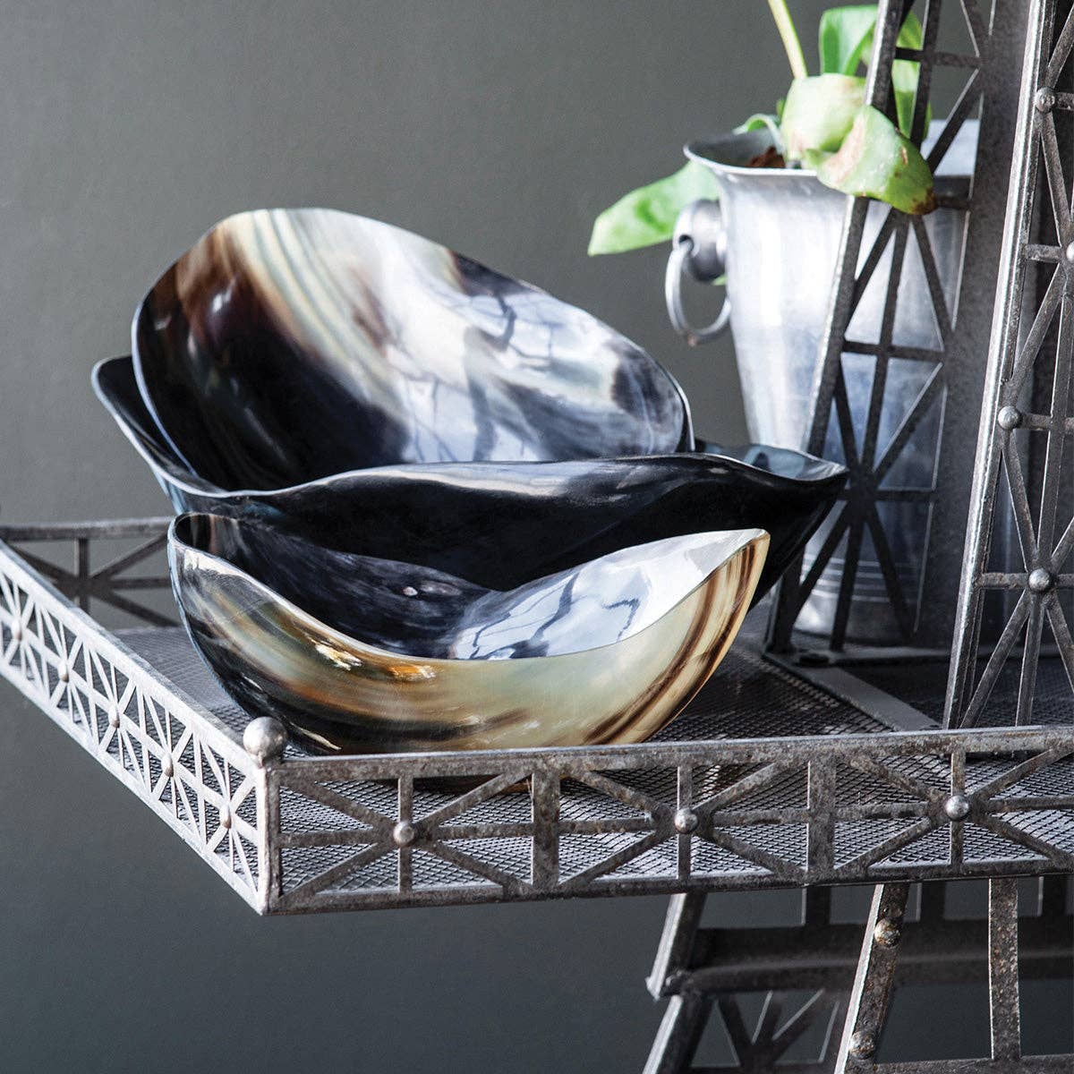 Blue Ocean Traders - Wholesale Decorative Plate/Dish/Bowl - Cow Horn Bowl4