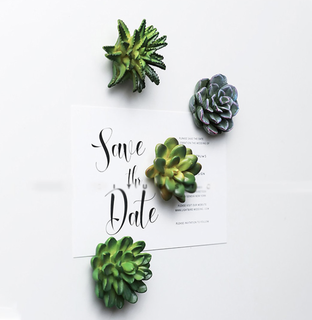 Woodbe Co - Wholesale Magnet - Mini 3D Succulent Resin Magnets8