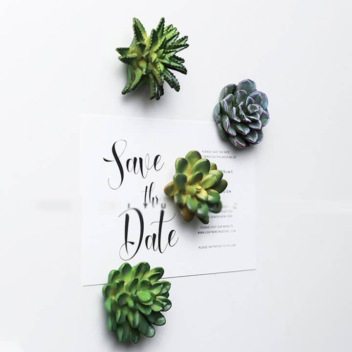 Woodbe Co - Wholesale Magnet - Mini 3D Succulent Resin Magnets8