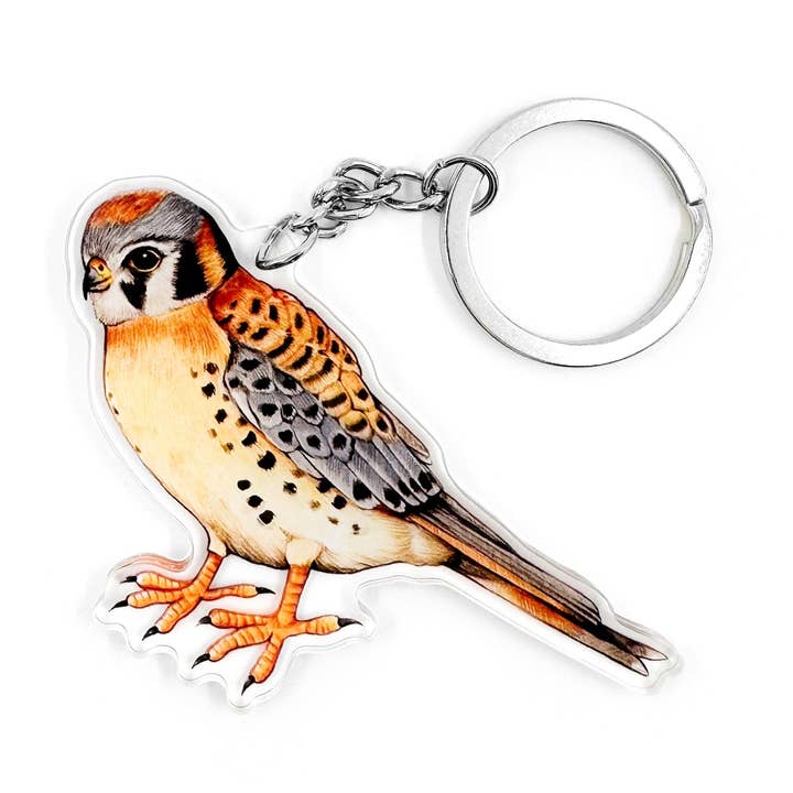 American Kestrel Keychain for wholesale by Allison Stoiser Art